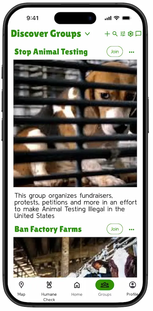 The final Groups screen, reached from a restructured bottom navigation bar.