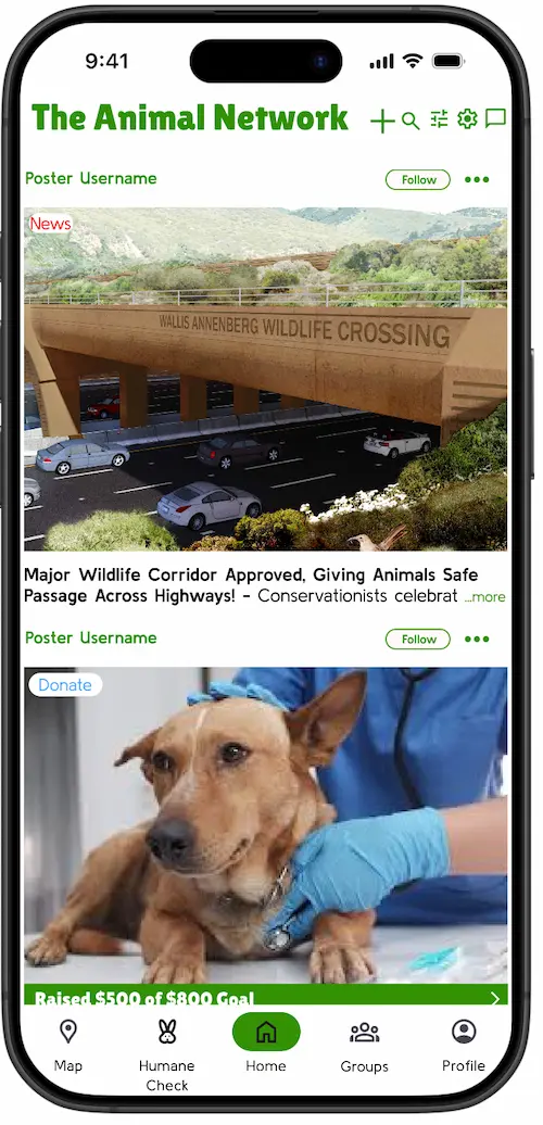 The final home feed: a single vertical scroll of posts, each tagged by type in the top-left corner. A News post about an approved wildlife corridor sits above a Donate post showing a progress bar reading Raised $500 of $800 Goal.