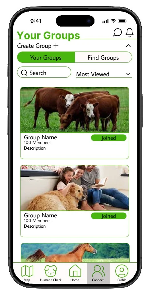 The groups a member has already joined, listed in the newly introduced Groups feature.